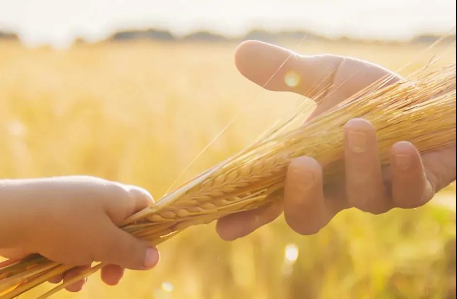 派克漢尼汾加入國際氫能委員會 助力加快推進(jìn)清潔能源解決方案部署